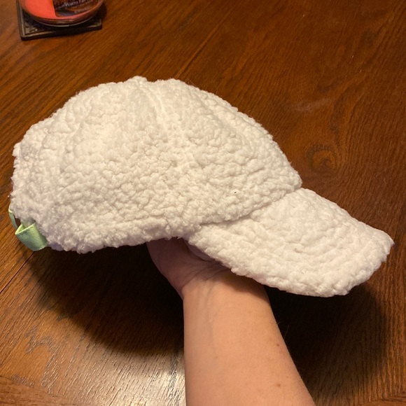 Sherpa Baseball Hat Aerie Offline 